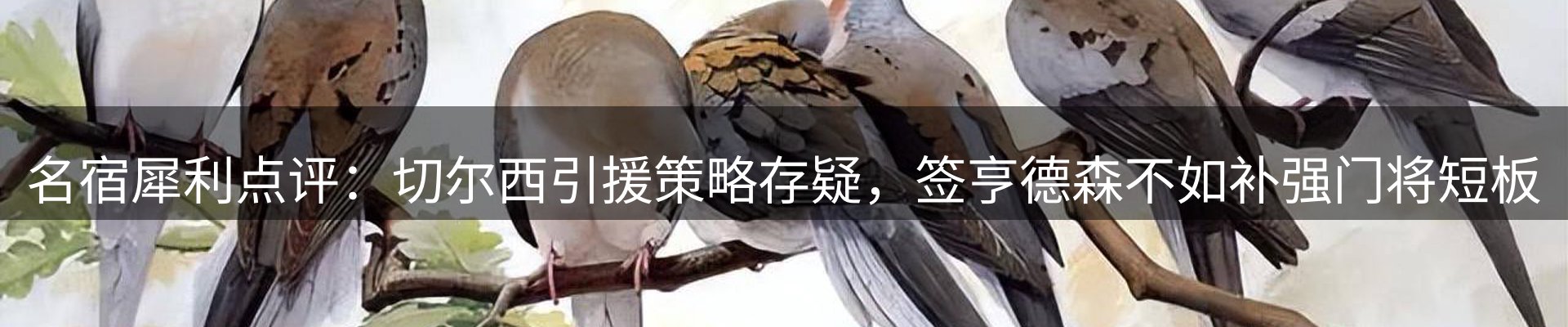 最新资讯